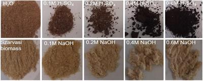 Microwave Assisted Pretreatment of Szarvasi (Agropyron elongatum) Biomass to Enhance Enzymatic Saccharification and Direct Glucose Production